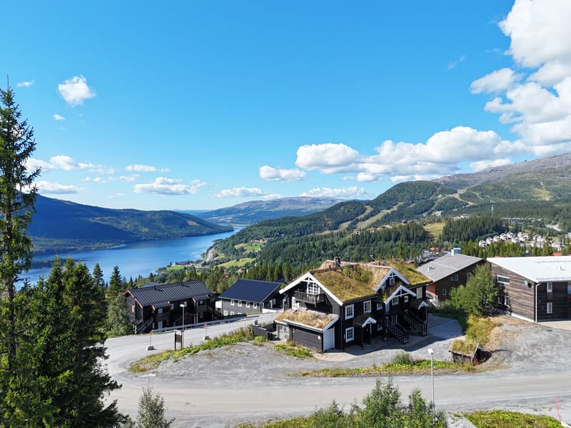 Björnen Örnen 1C