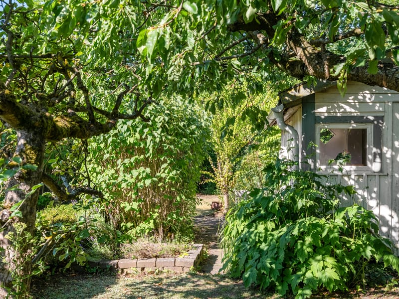Rådmansgatan 15 - kolonistuga nr 58 i koloniområdet Haga