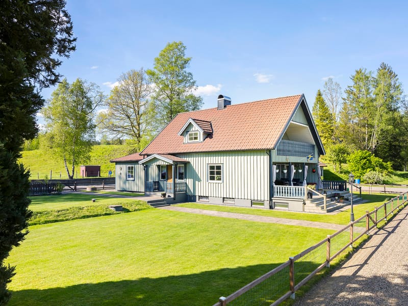 Ammås 101