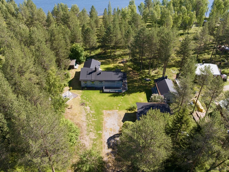 Buskön 153