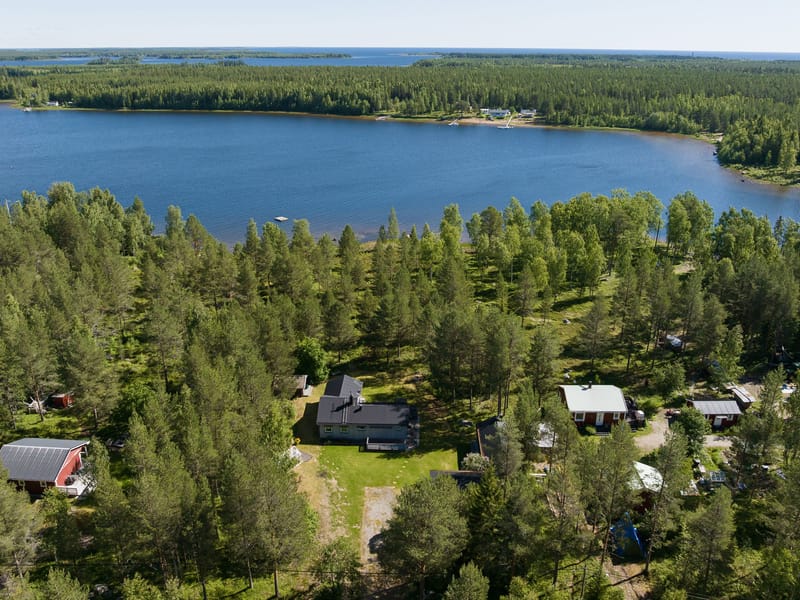 Buskön 153