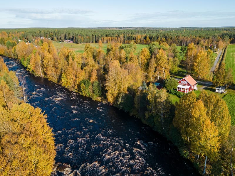 Åbyn 513