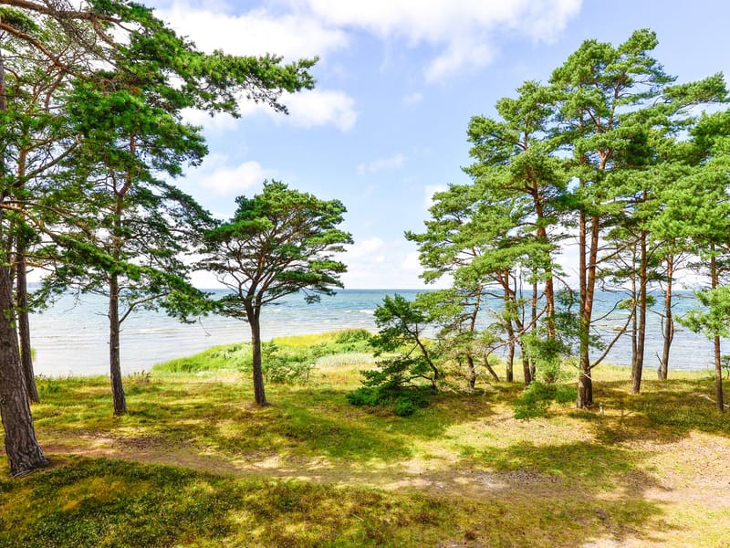 Eksta Hajstäde 248
