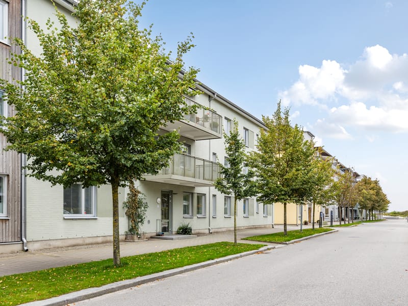 Sjögatan 8