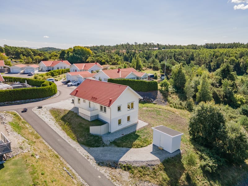 Olovs Hage 20