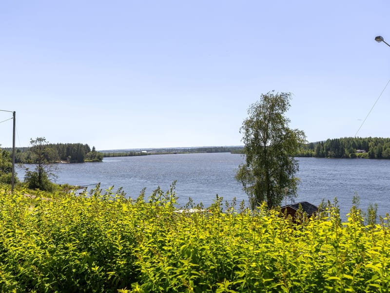 Fjäl 313