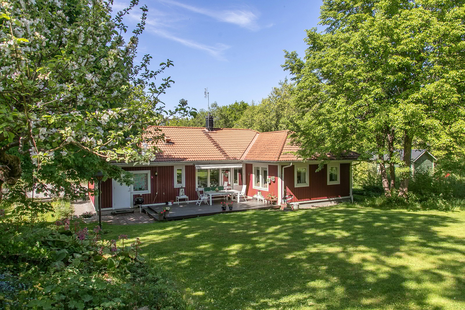 Södervänd trädgård med stor gräsmatta och fina planteringar