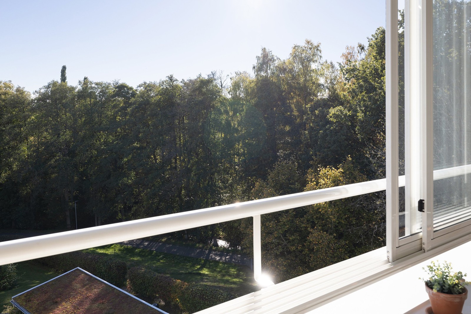 Fina vyer över trädkronor och blå himmel.