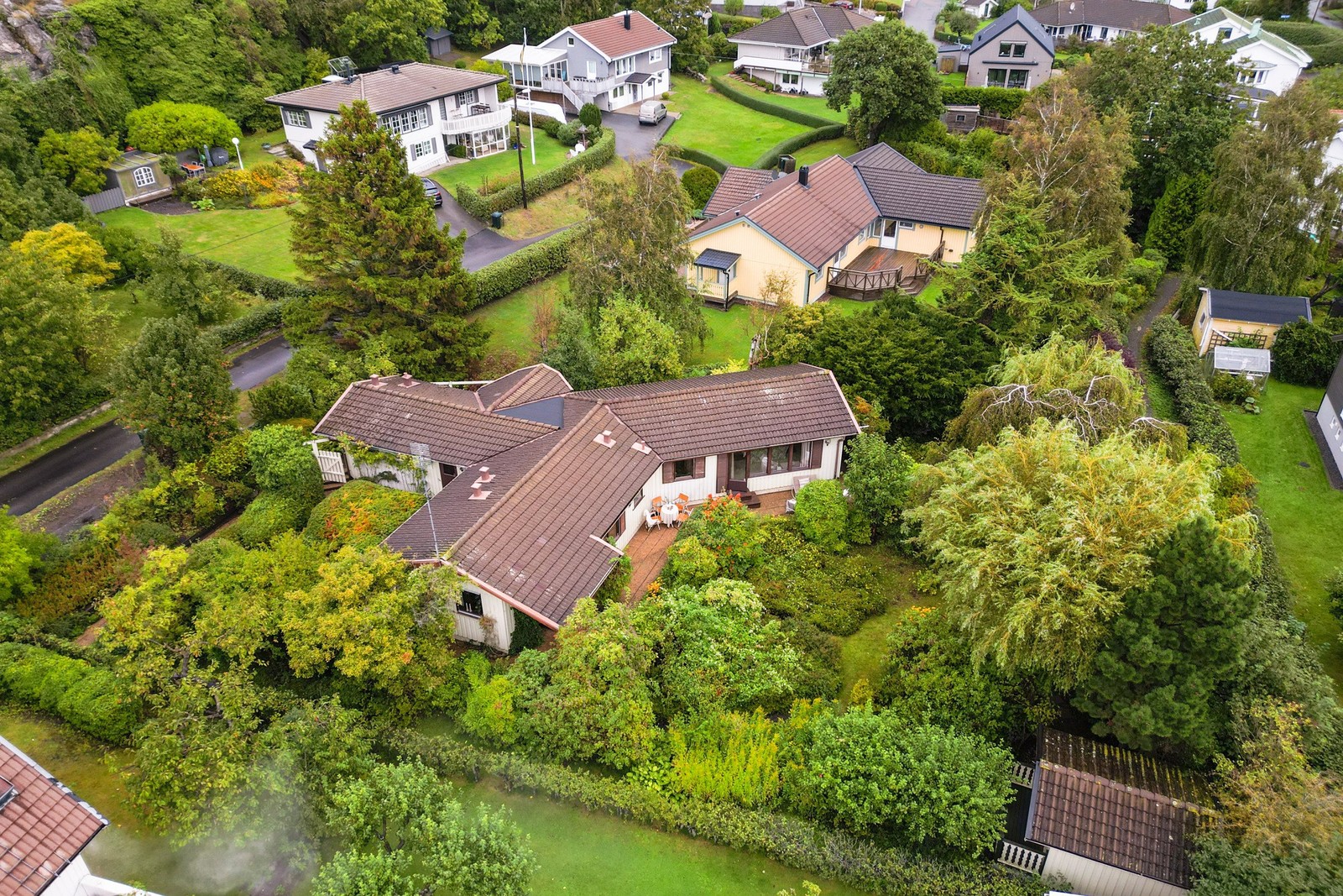 Fastigheten med enplansvilla och uppvuxen trädgård