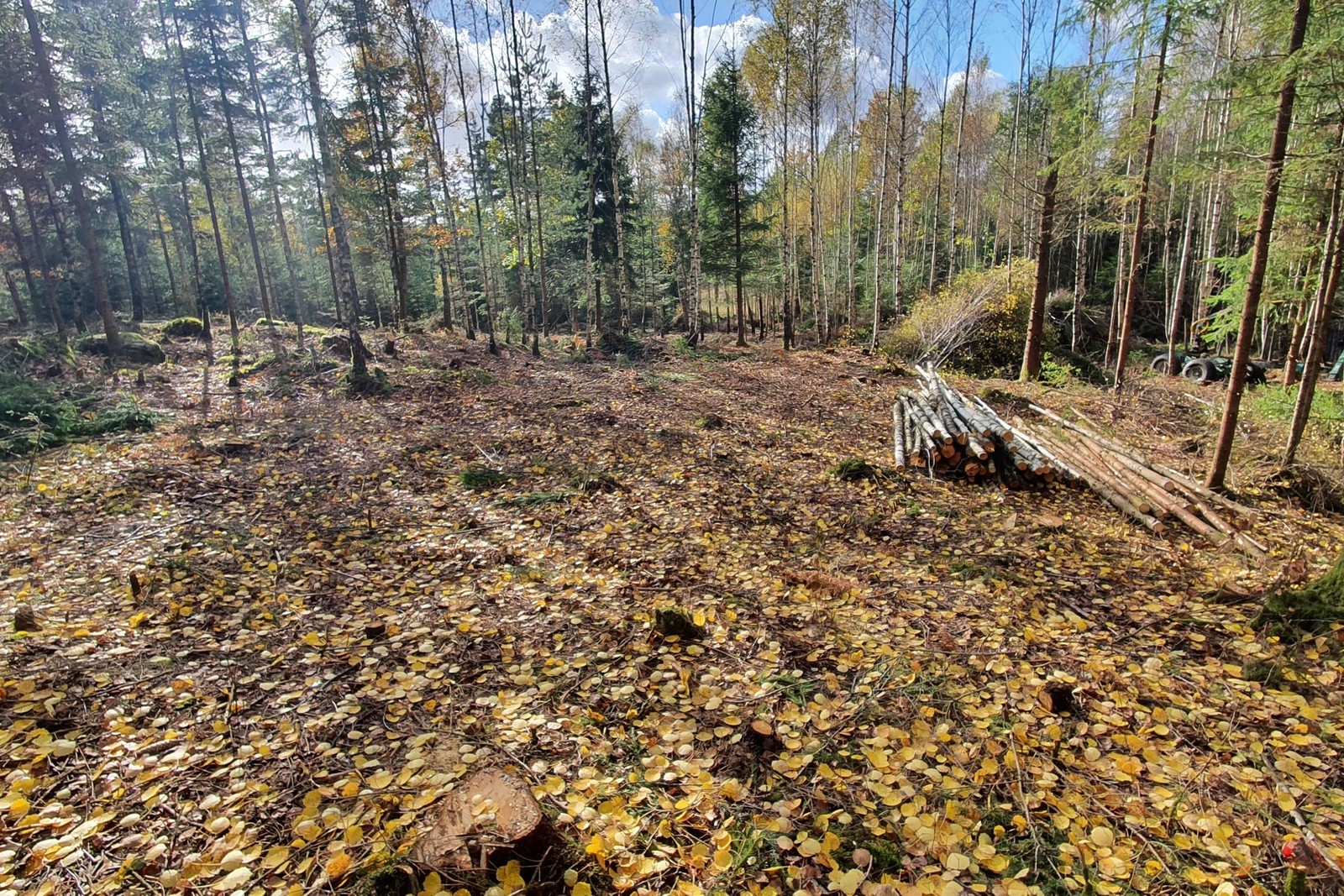 Tomten är inte bunden till någon husleverantör