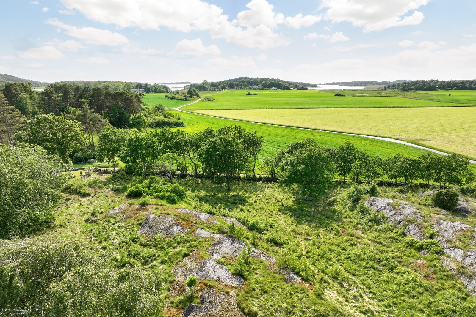 Vacker natur med mycket karaktär