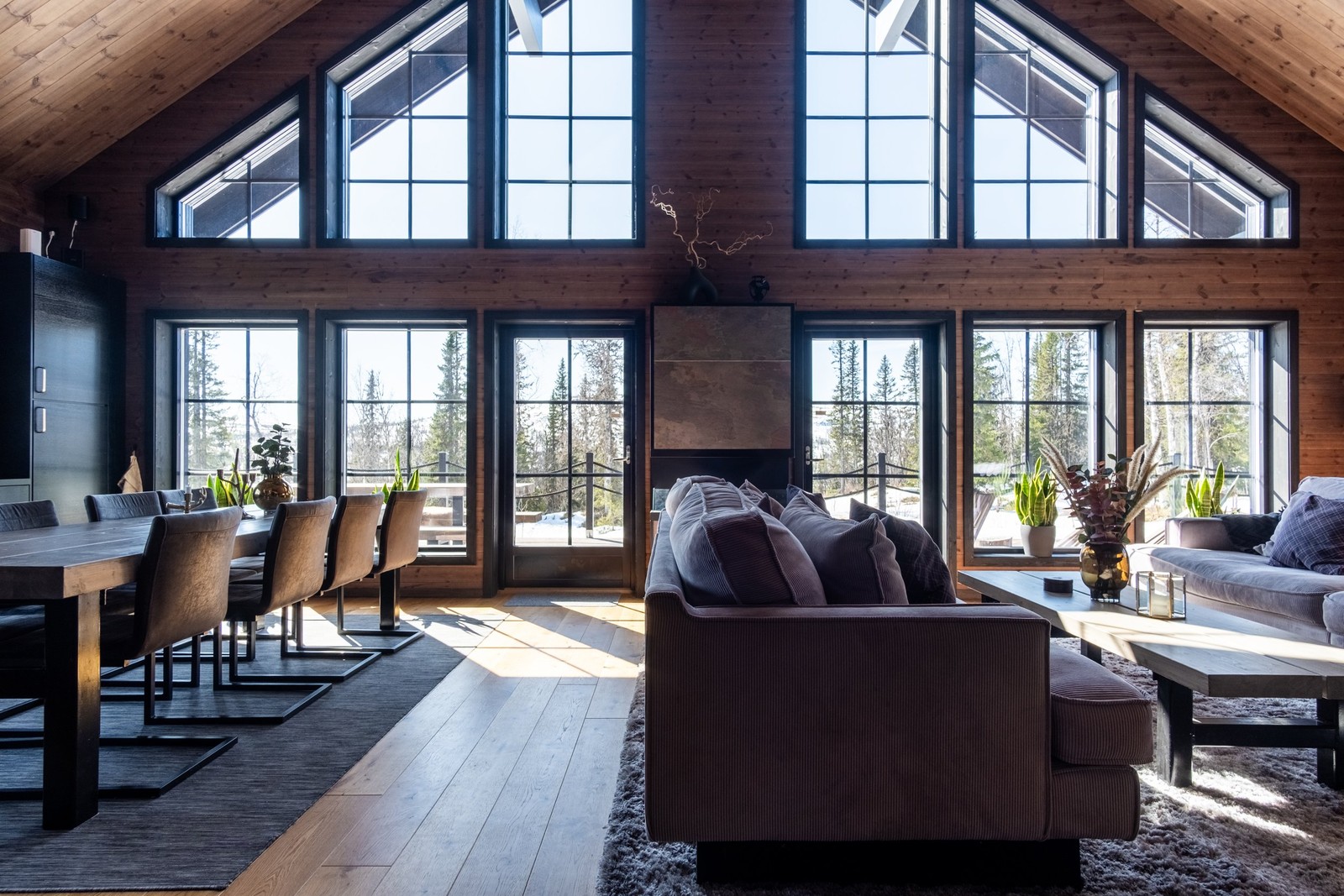 Stora sociala umgängesytor