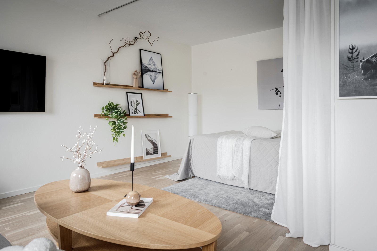 Vardagsrum med sovalkov