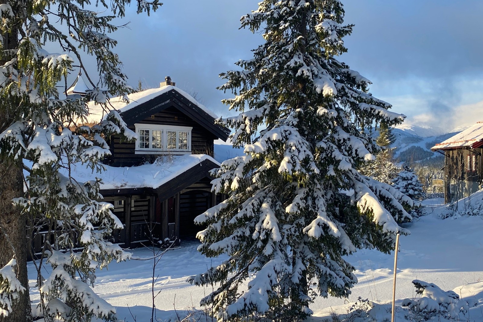 Välkommen till Ugglan 9