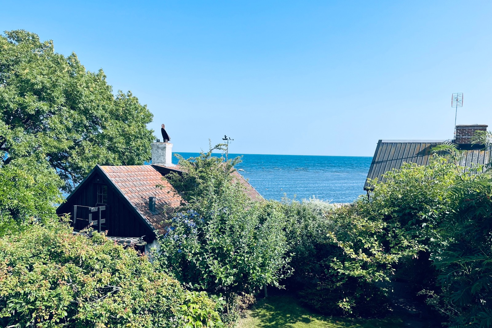 Utsikt från balkongen