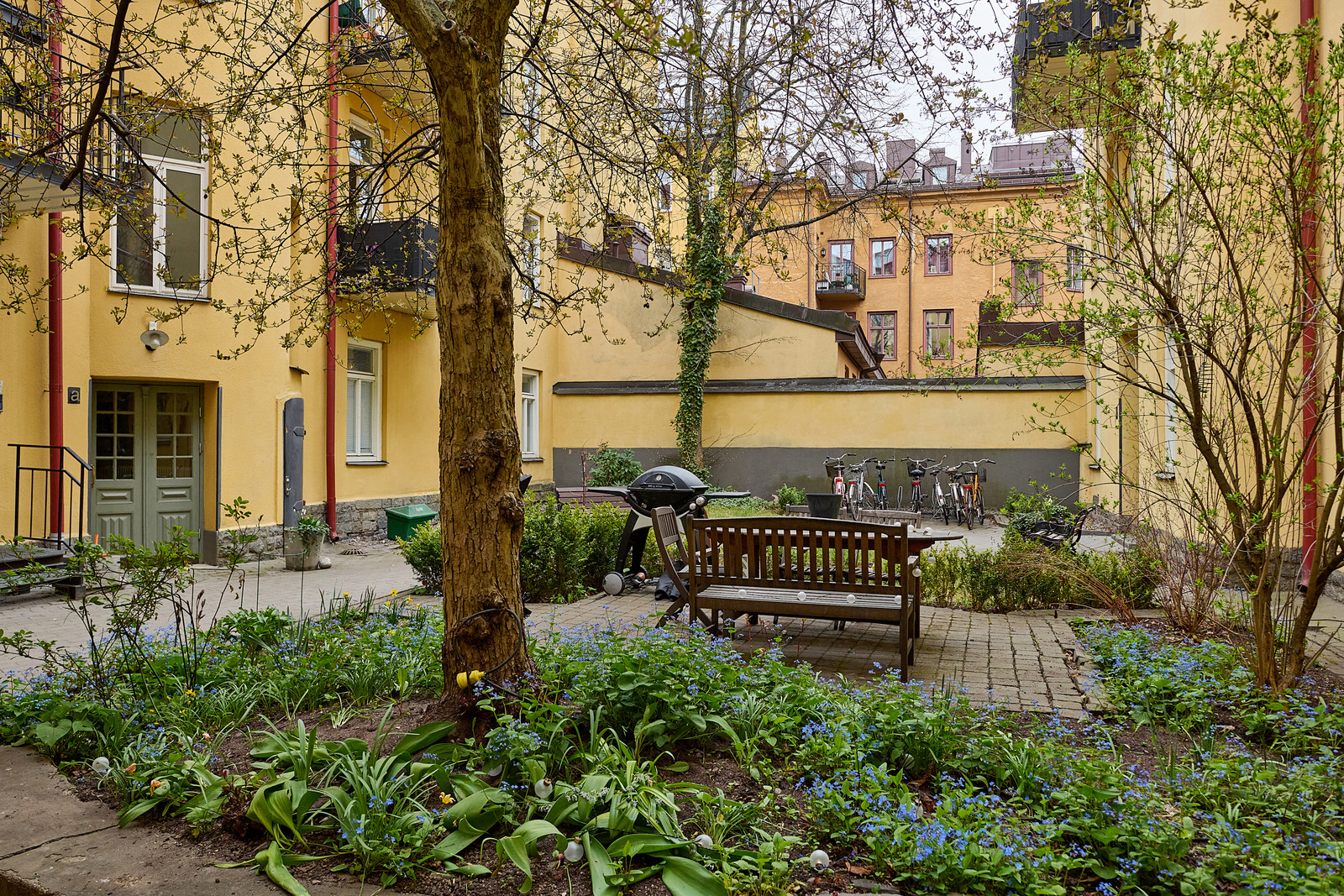 Föreningens lummiga innergård