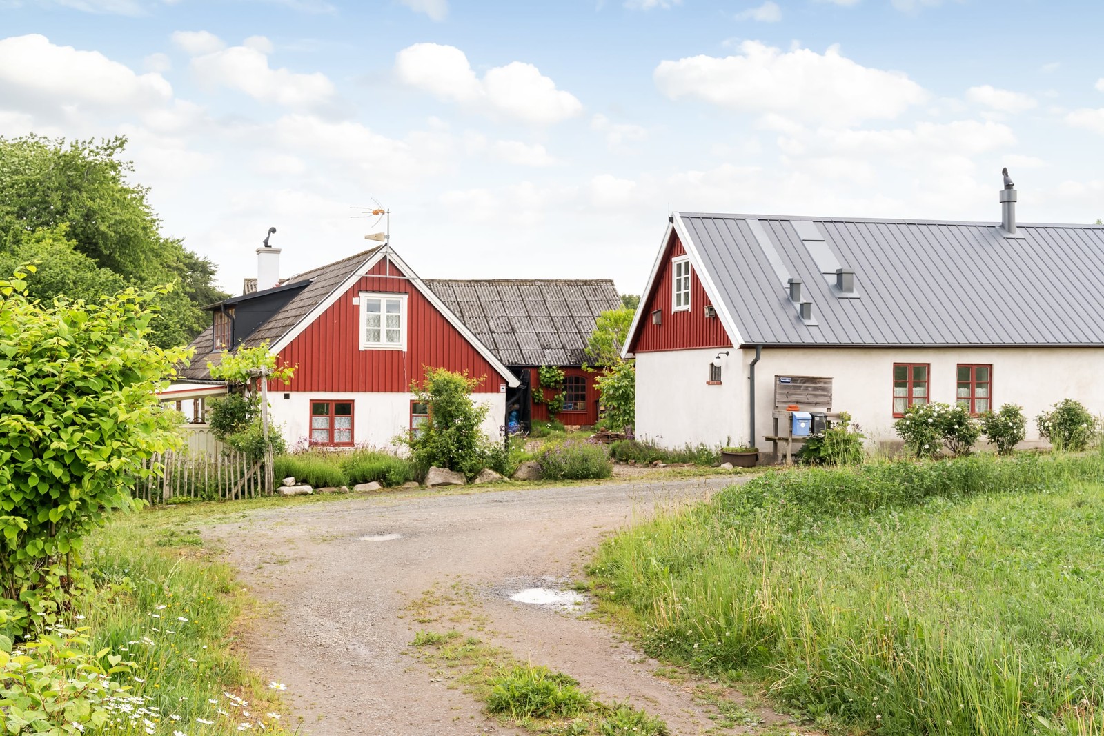 Välkommen till Tomas källa