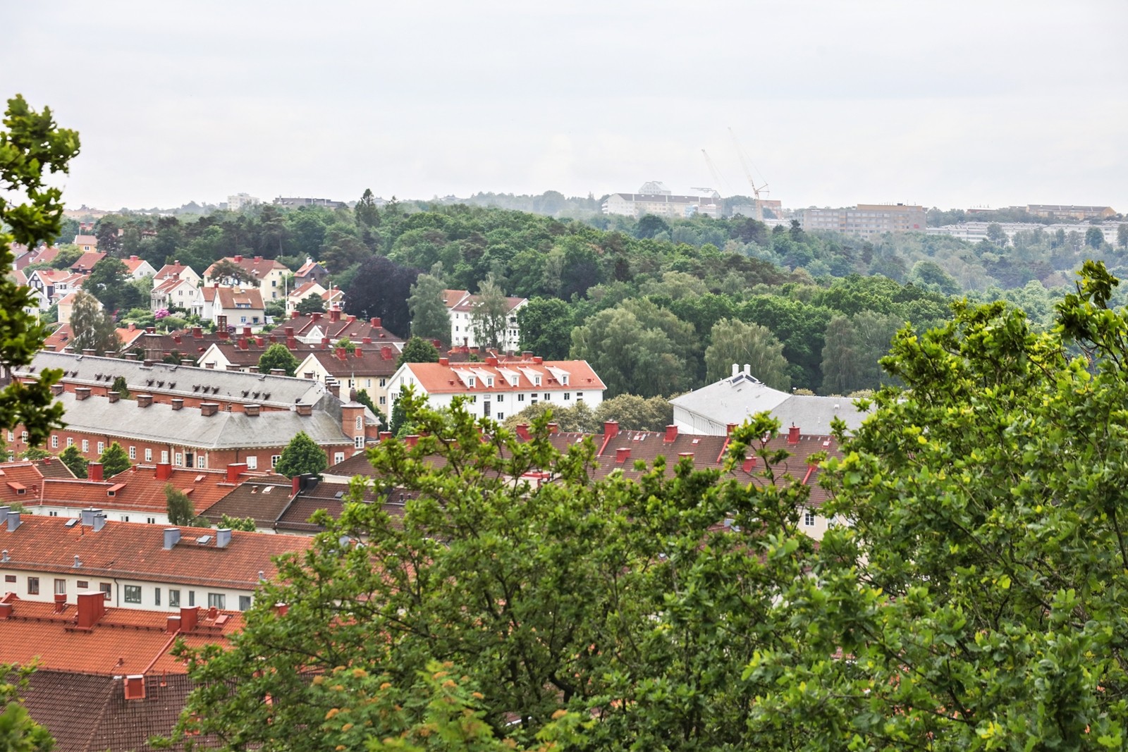 Hemmet präglas av en otrolig utsikt över Kungsladugårds takåsar