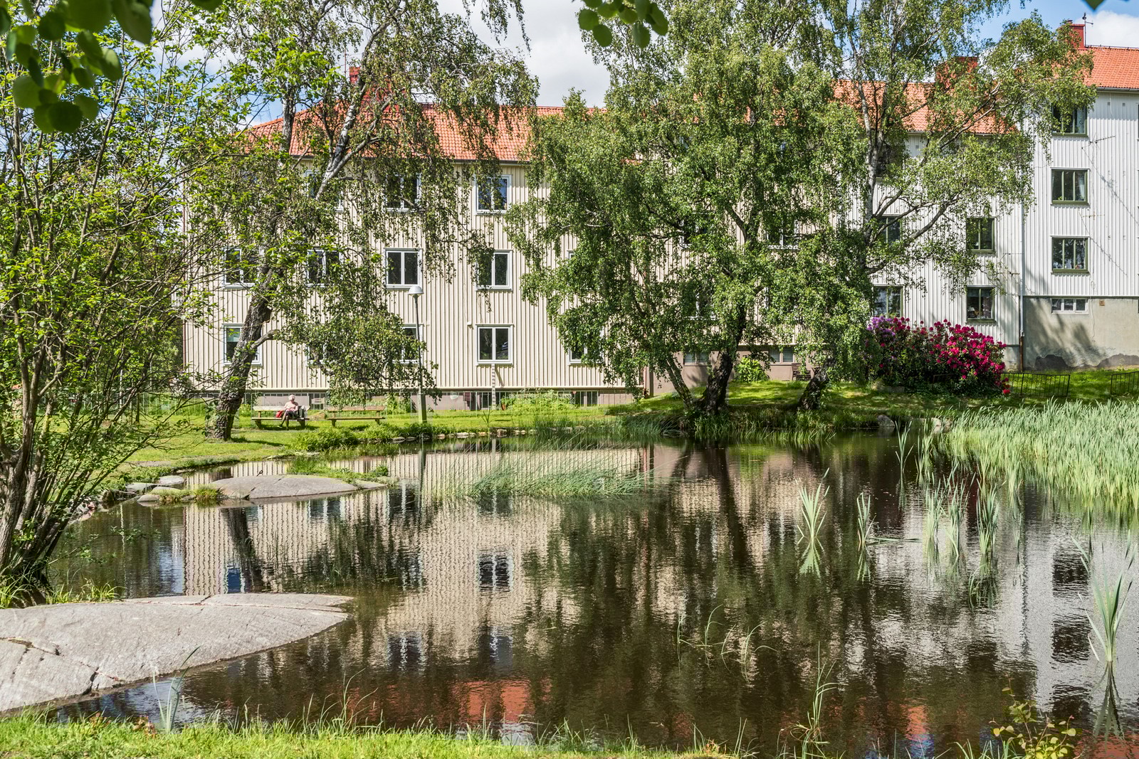 Den mysiga ankdammen ligger alldeles i närheten