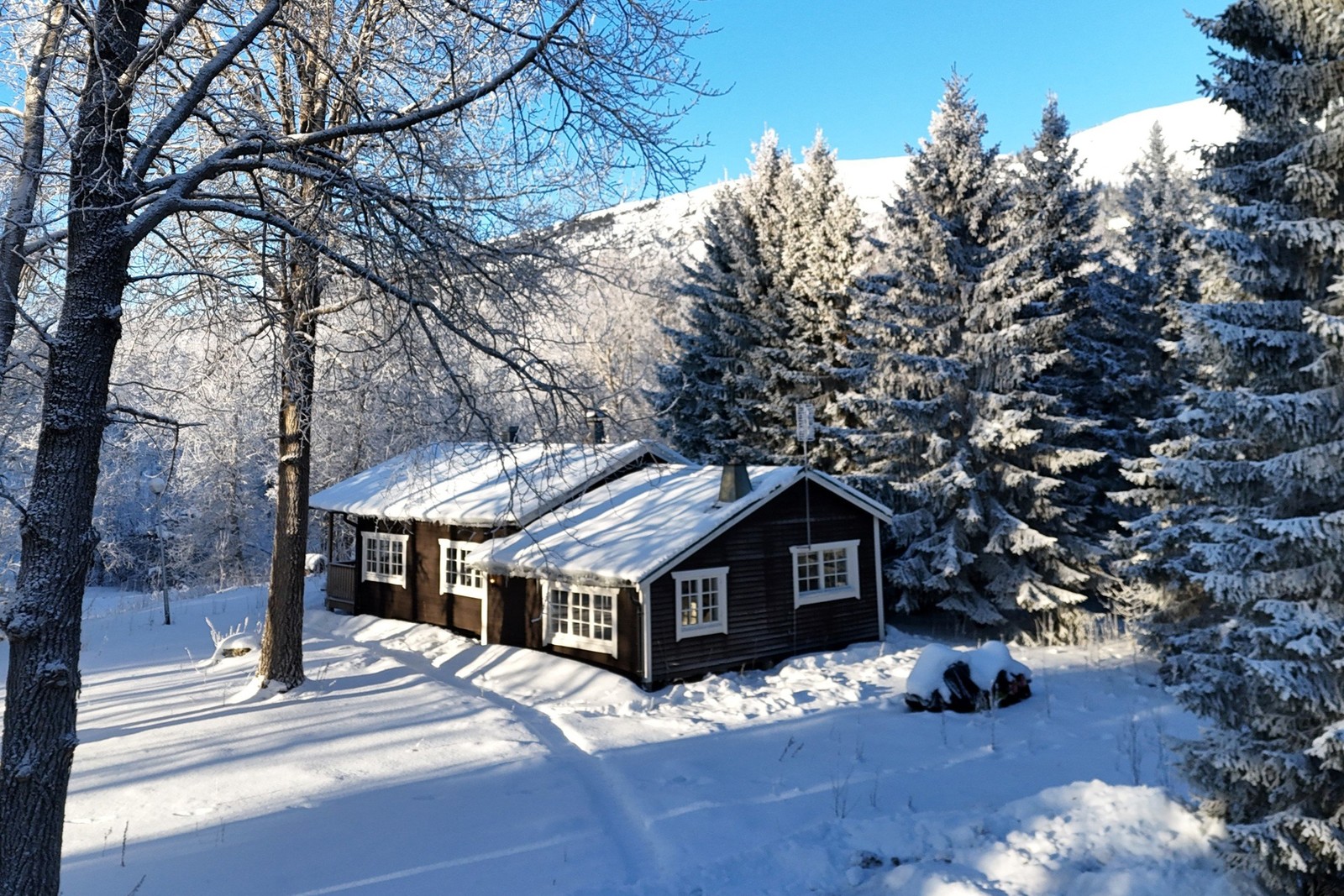 Välkommen till Sotargränd!