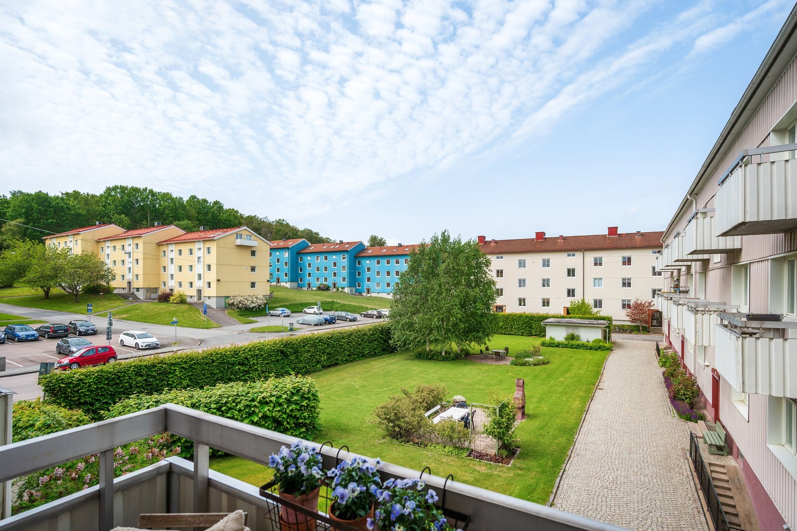 Blicka ut över en mysig gård