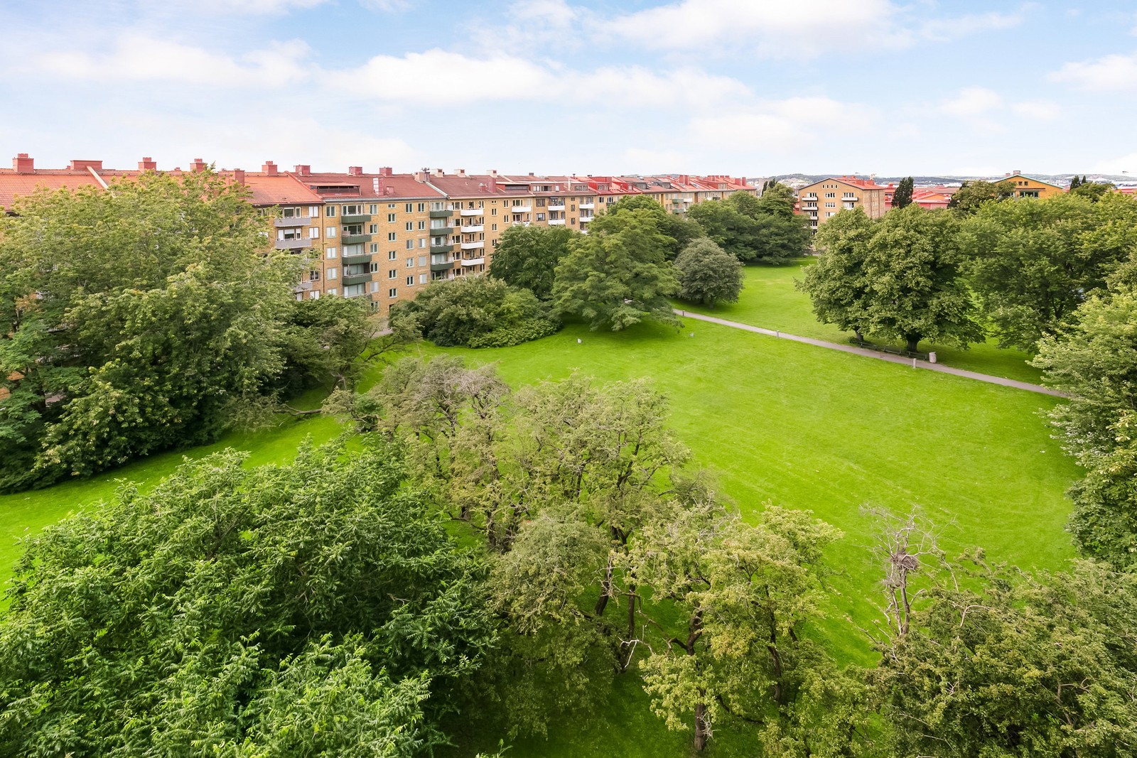 Här kan du följa ljuset och hur trädkronorna skiftar färg över årstiderna