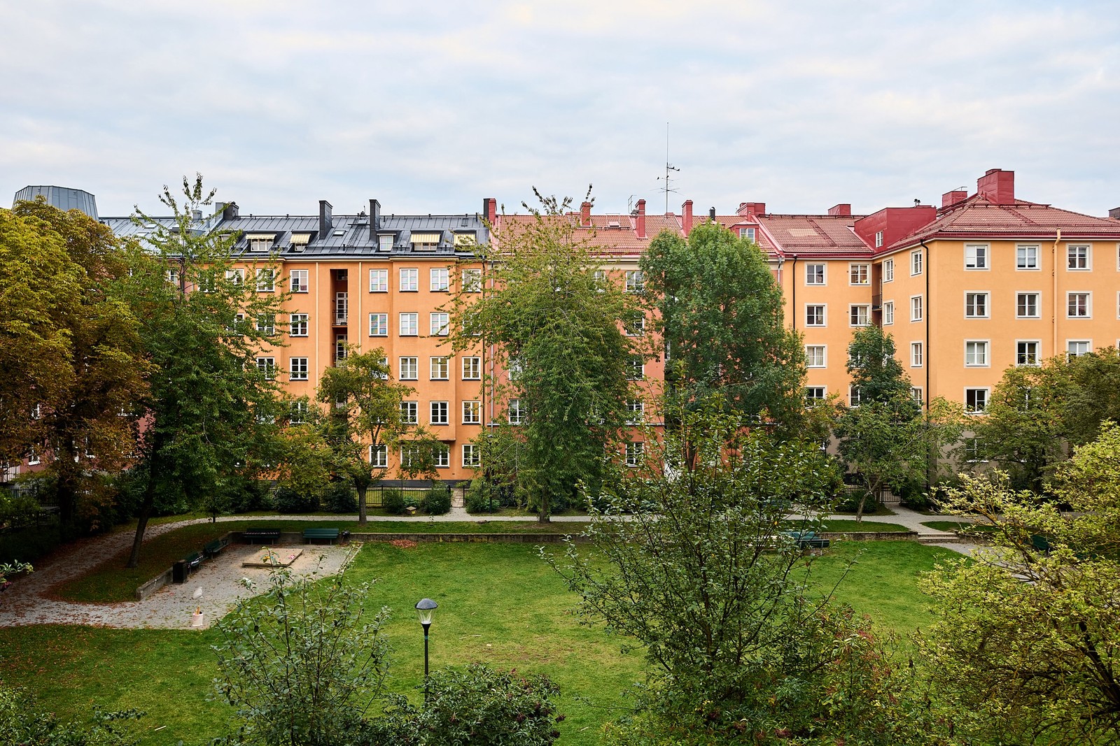 Parkens stora och öppna gräsyta ramas in av stora träd.