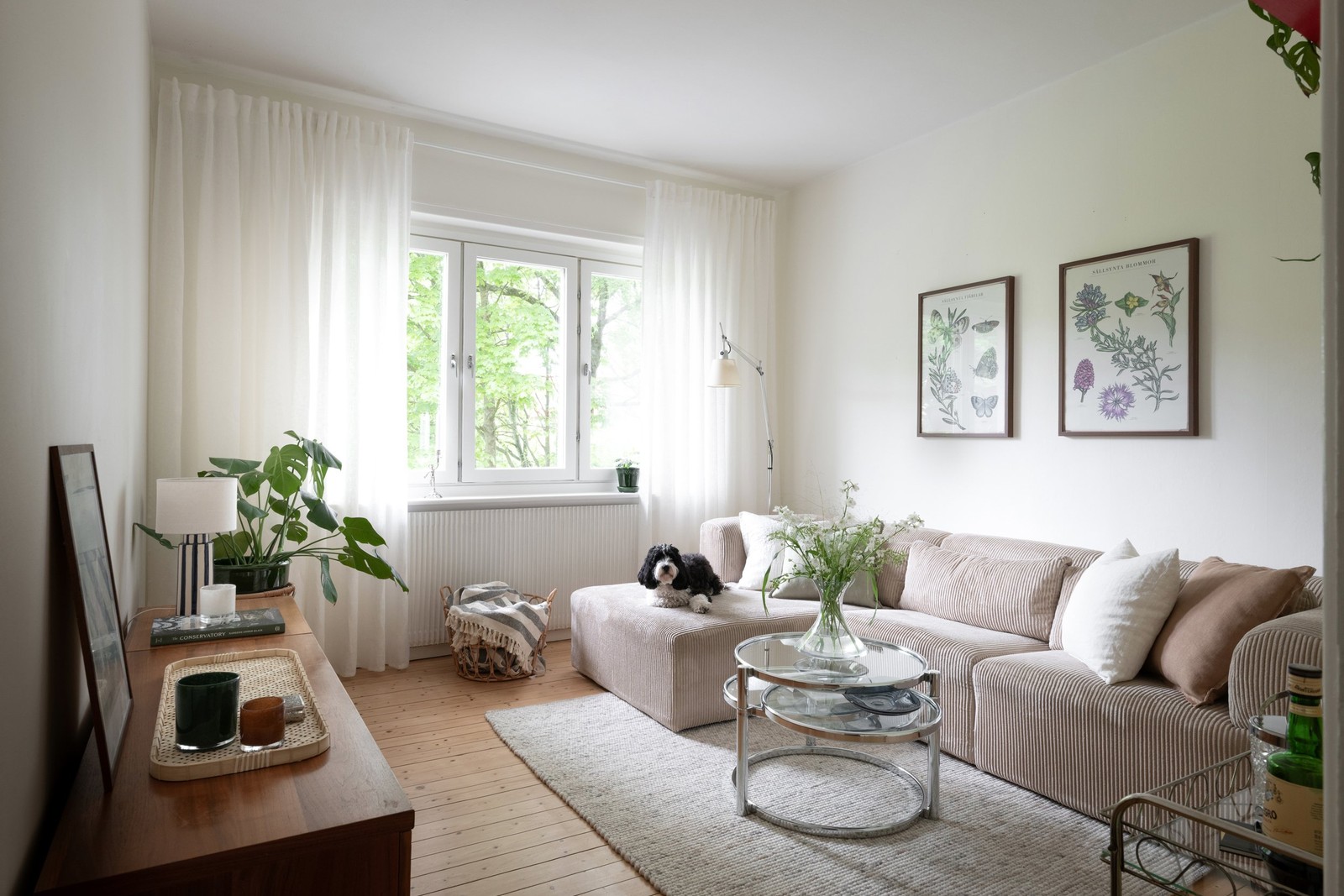 Välkommen till Björcksgatan och detta strålande hem