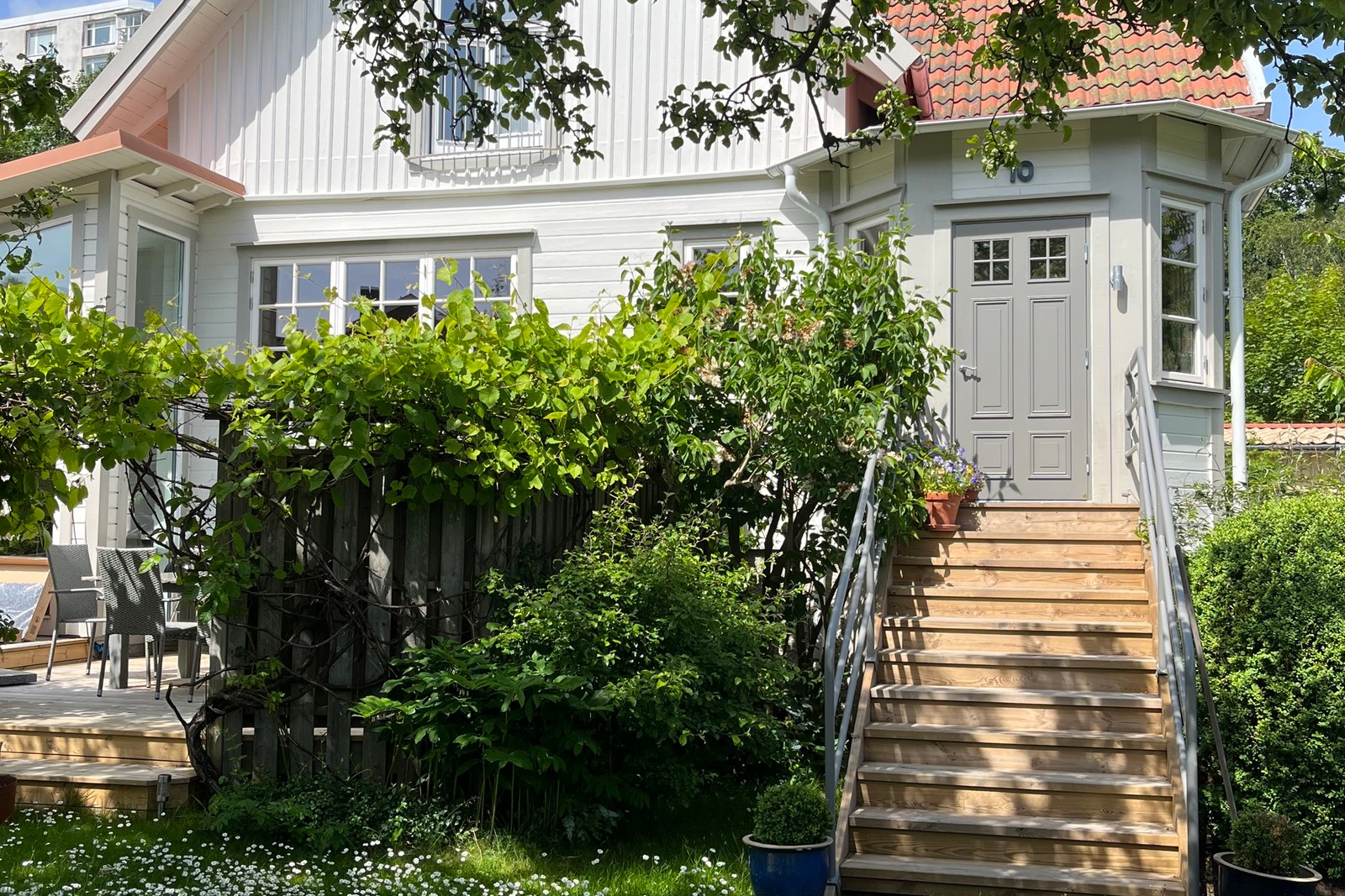 Sommartid då gräsmattan är full av Tusenskönor