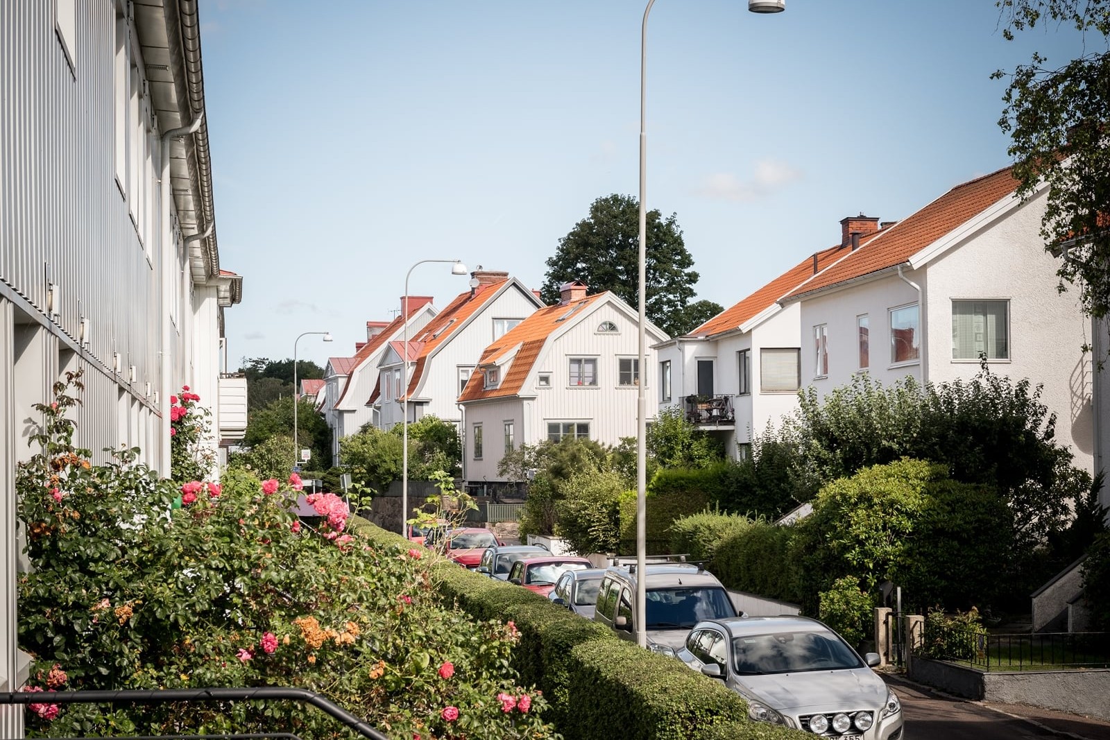 Blicka ut över blommande buskar och de charmiga Örgryte-villorna