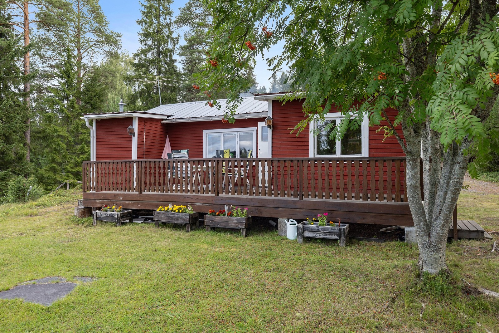 Exteriör