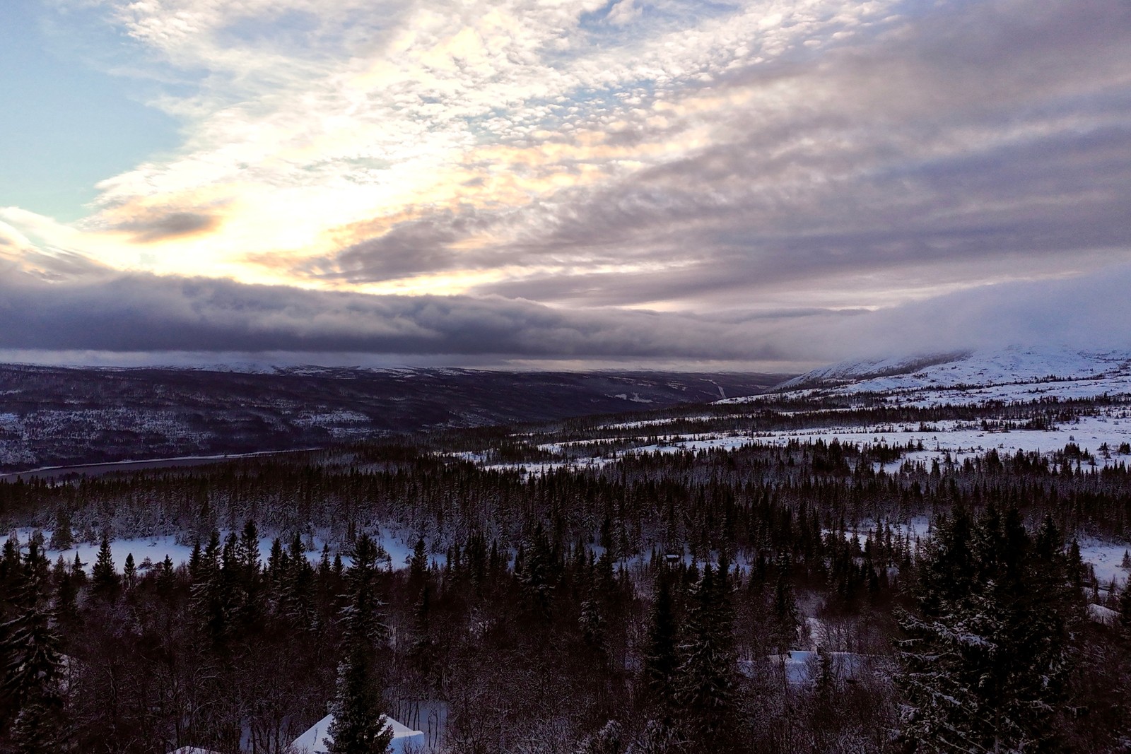 Vyer från Buustamon