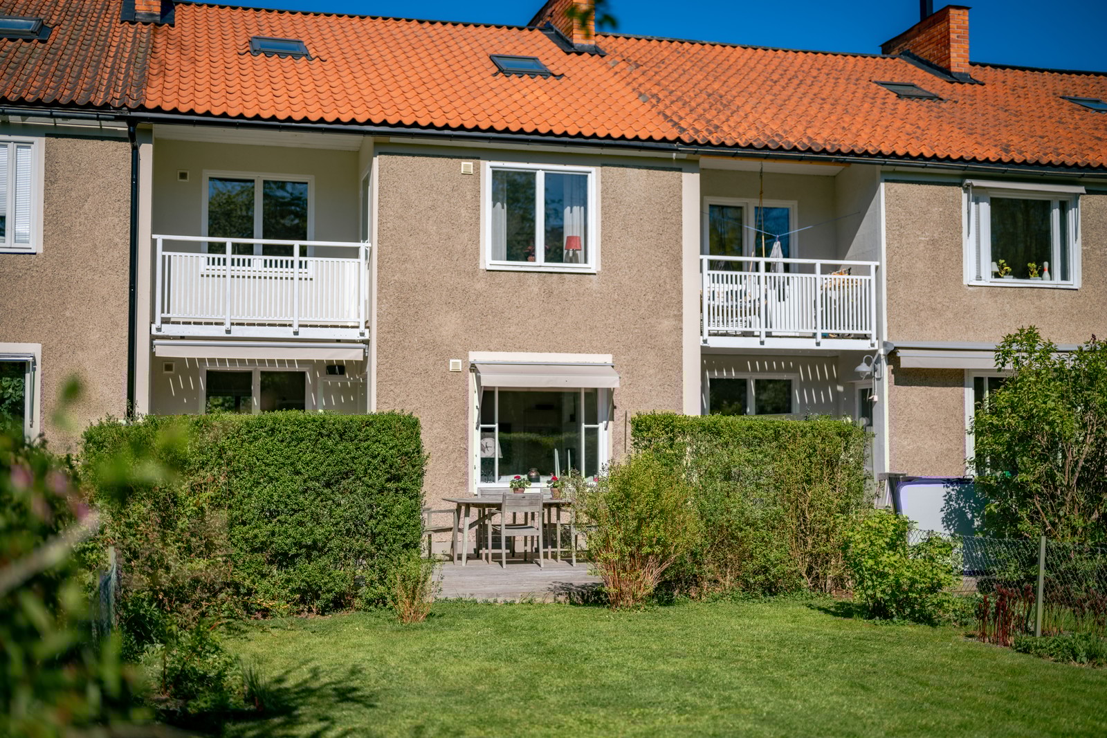 Trädgård på baksidan