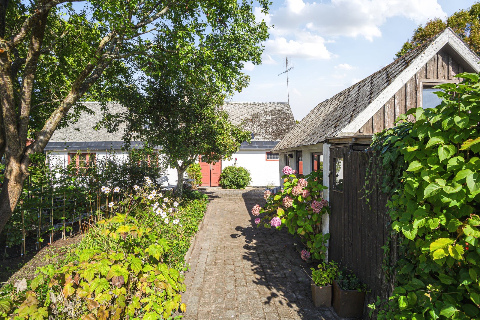 Huvudbild bildkollage