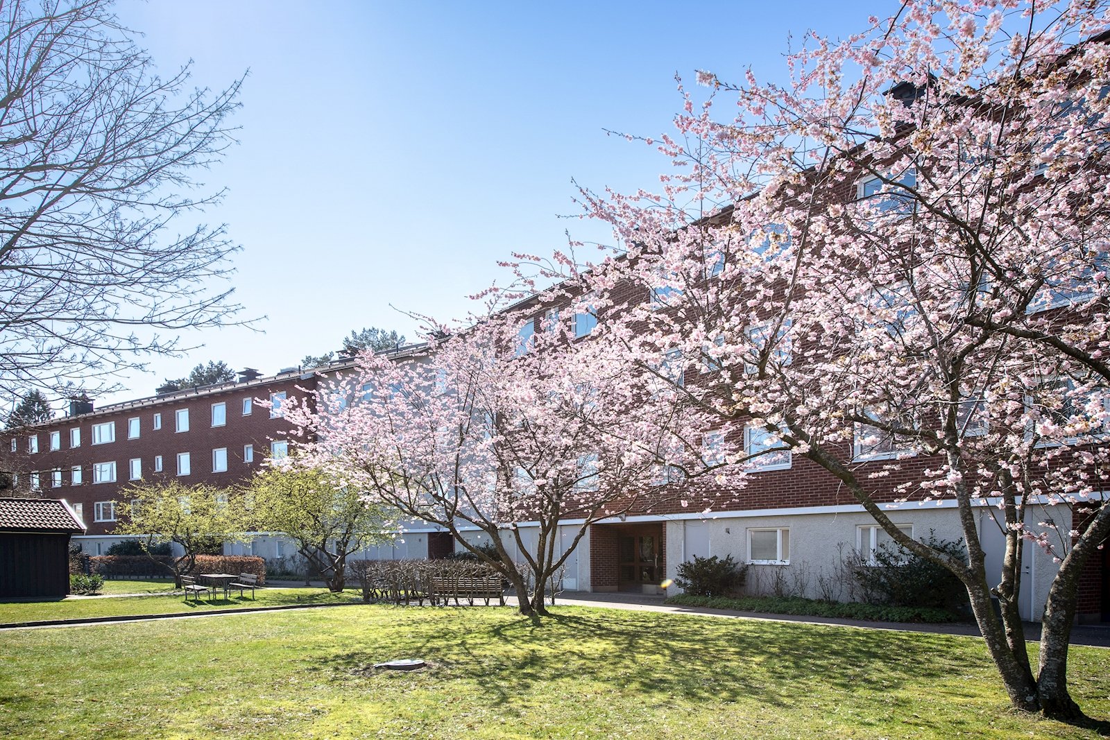 Snart ges det tillfälle att förvärva en välplanerad fyrarummare om 90 kvm på populära Musikvägen