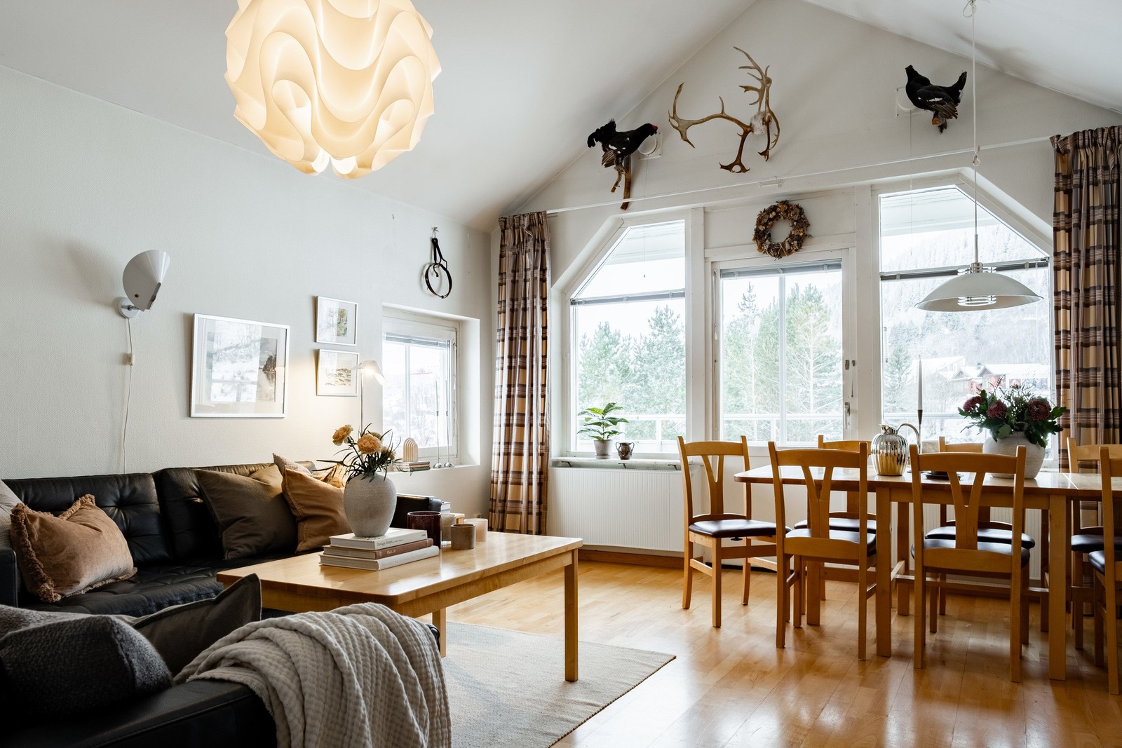 Välkommen till Freestylehuset