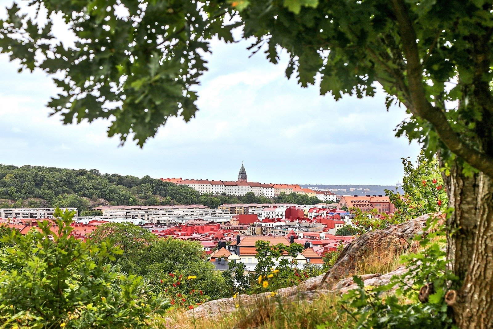 Välkommen till Lövskogsgatan 18!