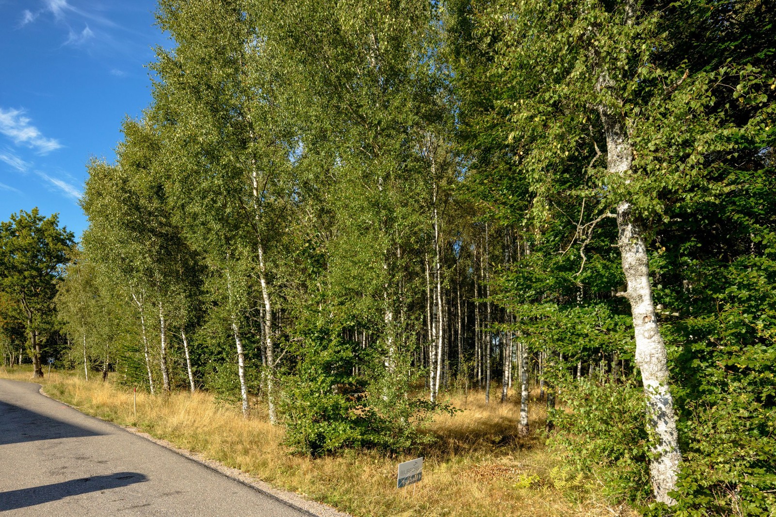 Bjufors.se skapa bildlänk