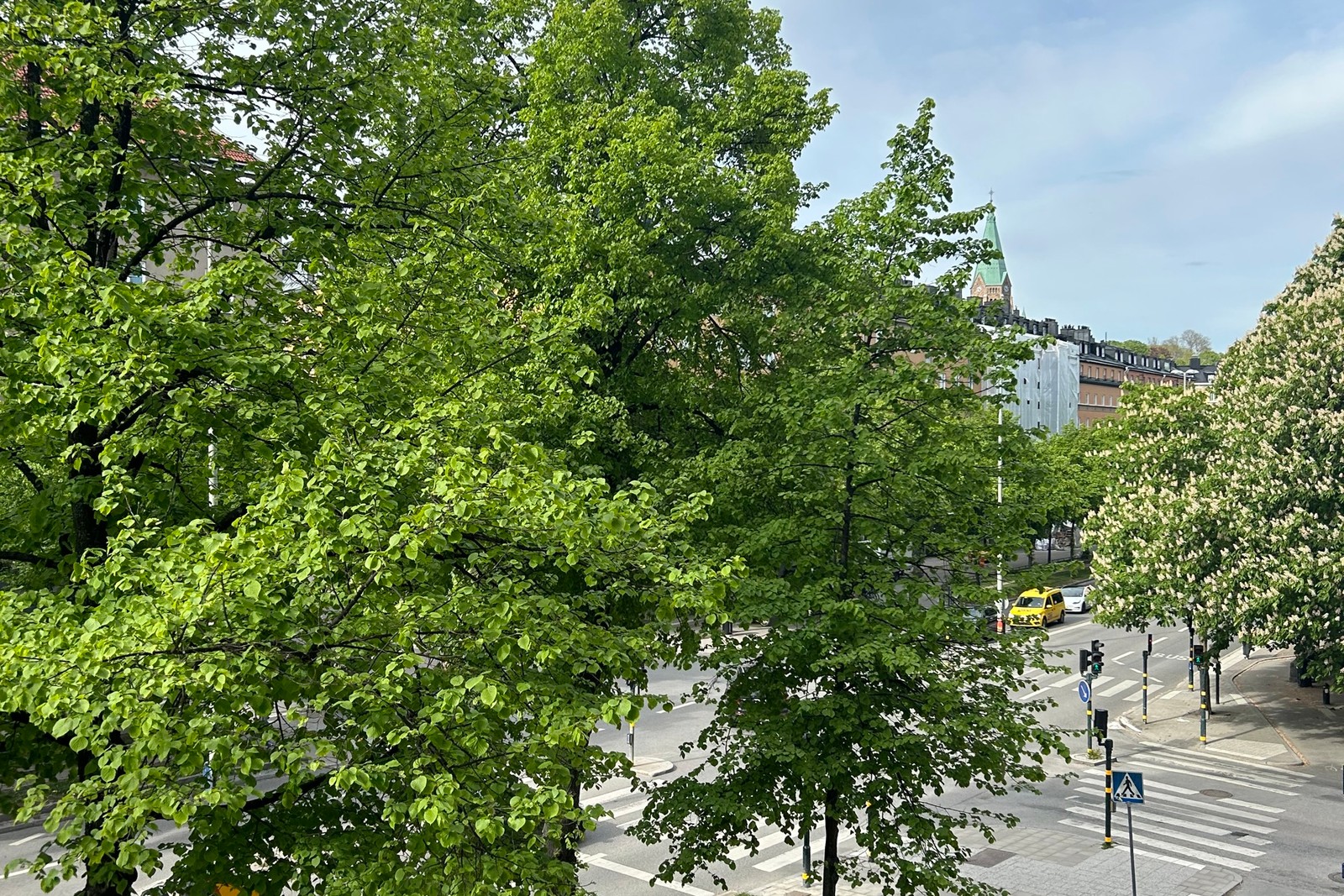 Vy mot allé och Sofias kyrktorn från vardagsrummet