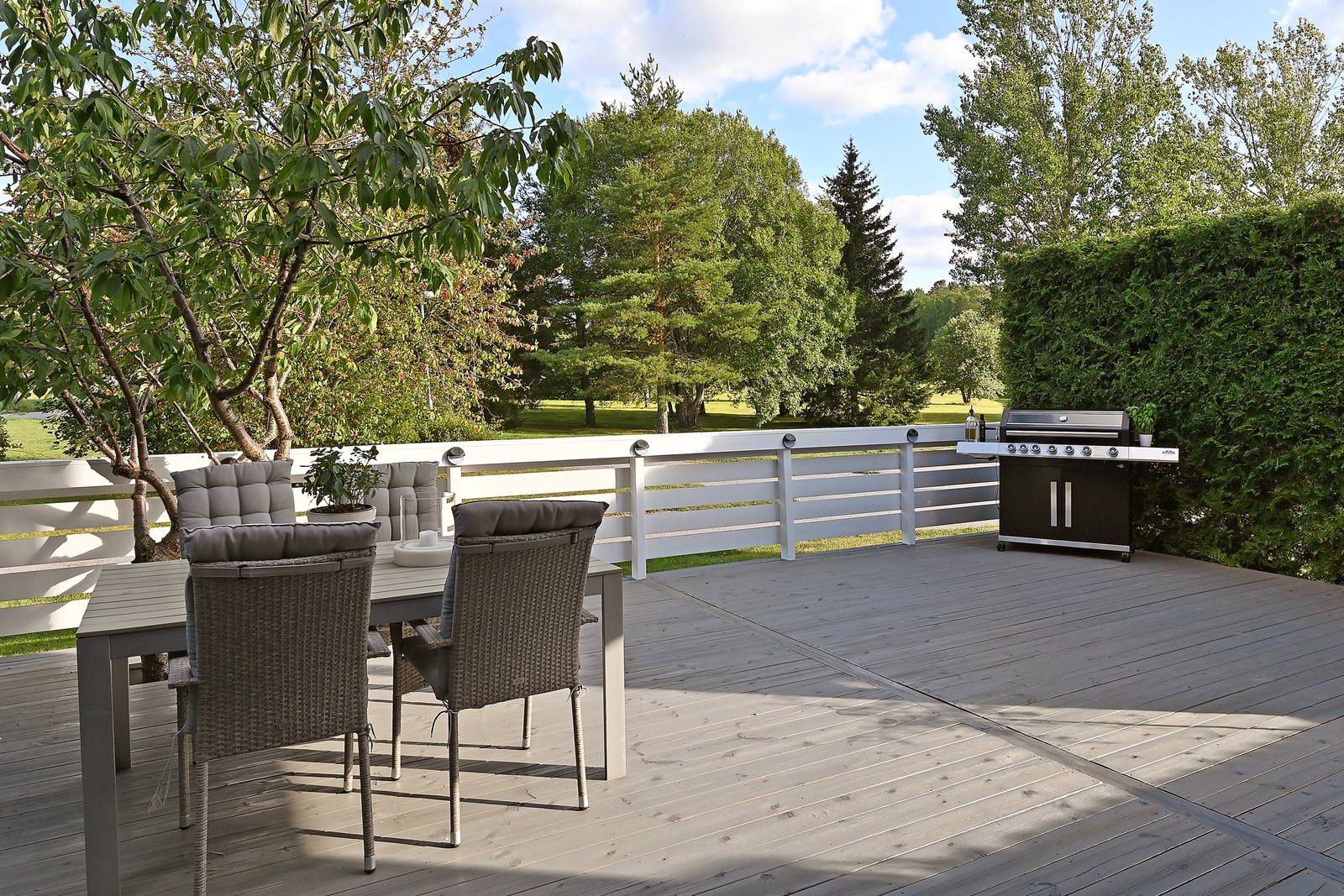 Uteplats på baksidan mot fin grönska