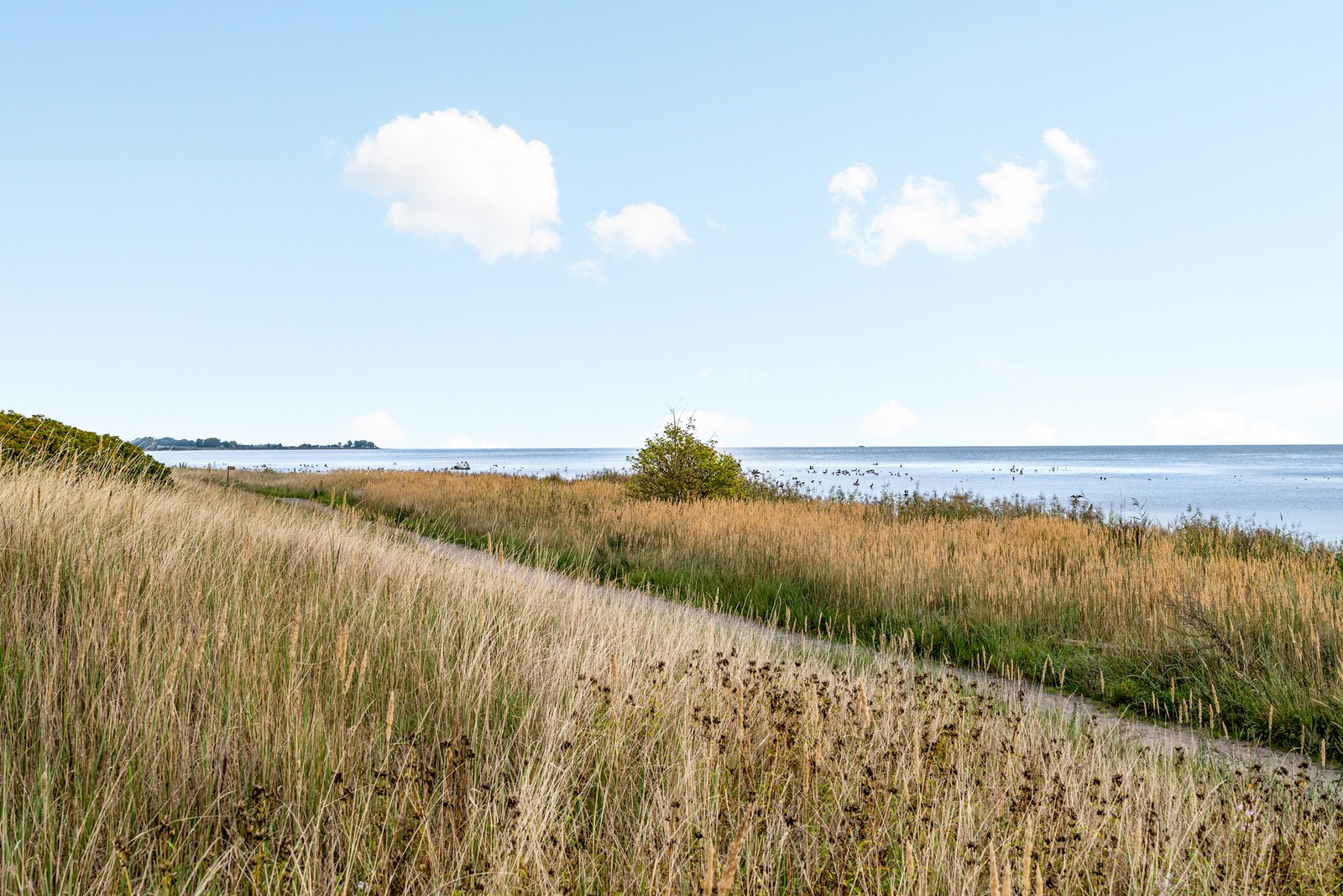 Härliga promenader längs havet!
