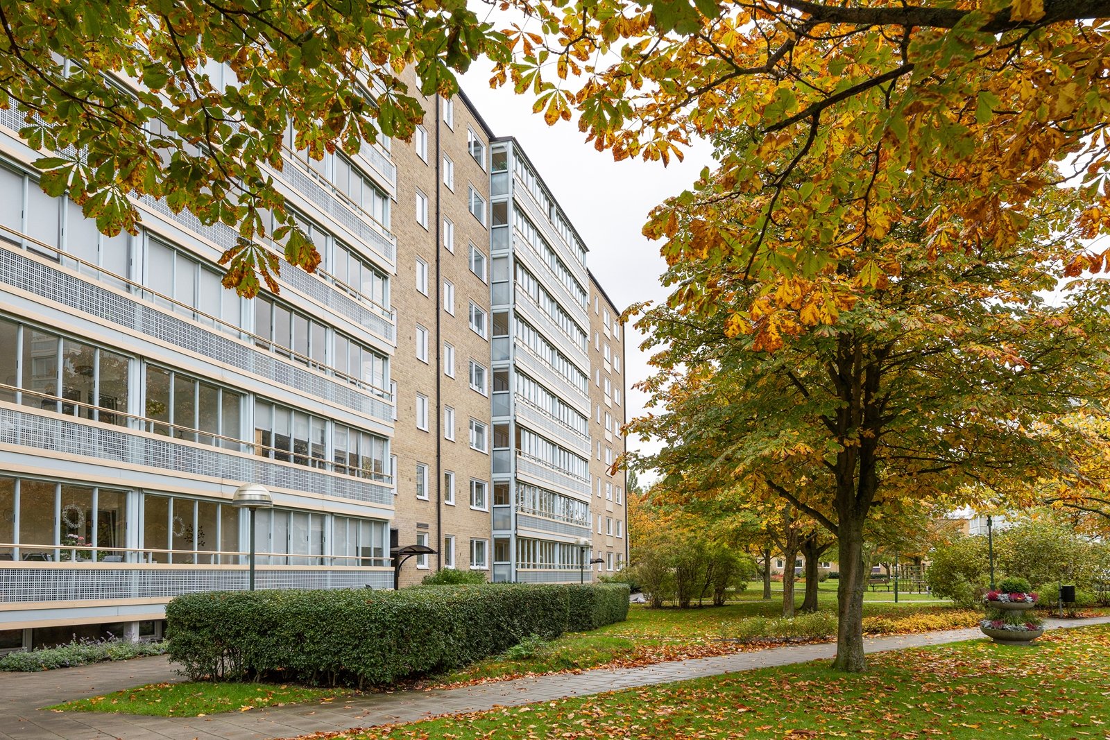 Huvudbild bildkollage