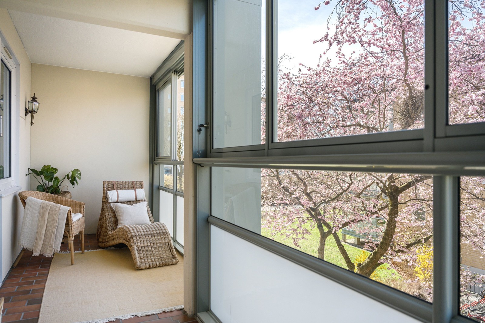 Huvudbild bildkollage