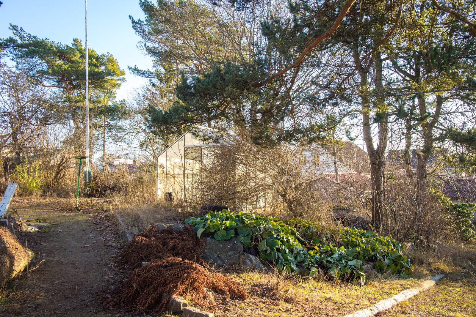 Tomten ligger inom detaljplanerat område