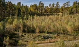 Landviken 508