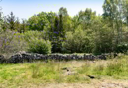 Hamra Sallmunds 2:1 (del av skifte 6)