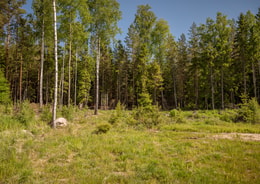 Jutviksvägen 51