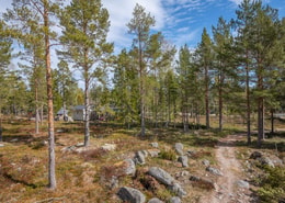 Ljungvägen 13