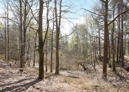 Raskens väg 13