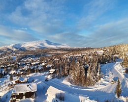 Björnen Copperhill 11